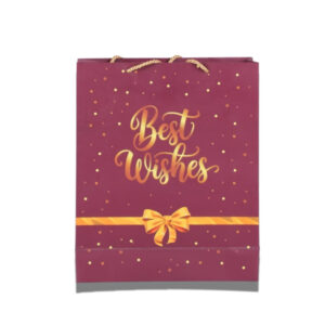 Premium 250 GSM “Best Wishes” Gift Bag – 10 x 12 x 3.5 Inches